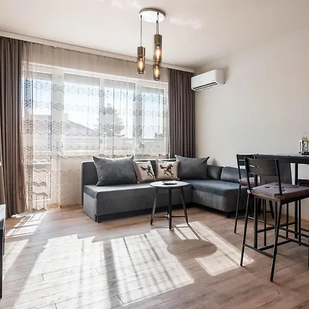 Sunny Ap & Parking 5min From The 公寓