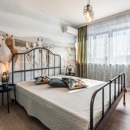 公寓 Sunny Ap & Parking 5min From The